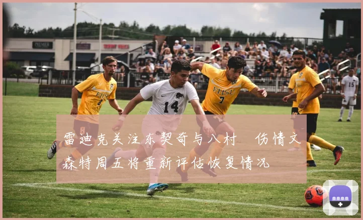 雷迪克关注东契奇与八村塁伤情文森特周五将重新评估恢复情况