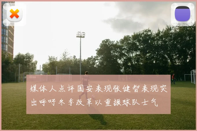 媒体人点评国安表现张健智表现突出呼吁冬季改革以重振球队士气