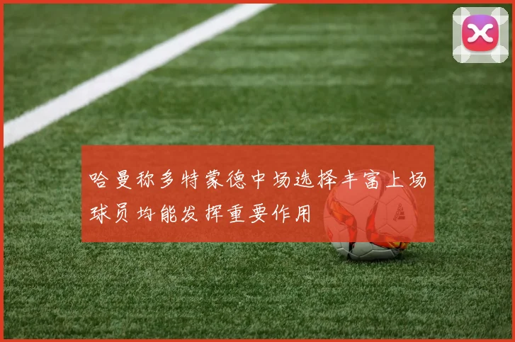 哈曼称多特蒙德中场选择丰富上场球员均能发挥重要作用