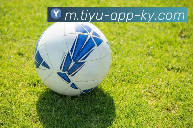 App Interface Preview