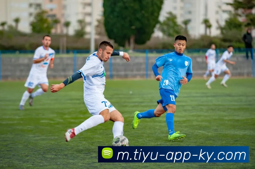 开云体育APP 封面图